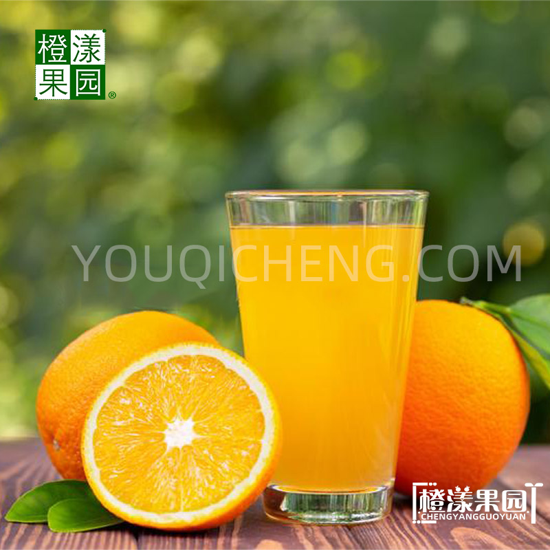 纽荷尔脐橙礼品装10斤